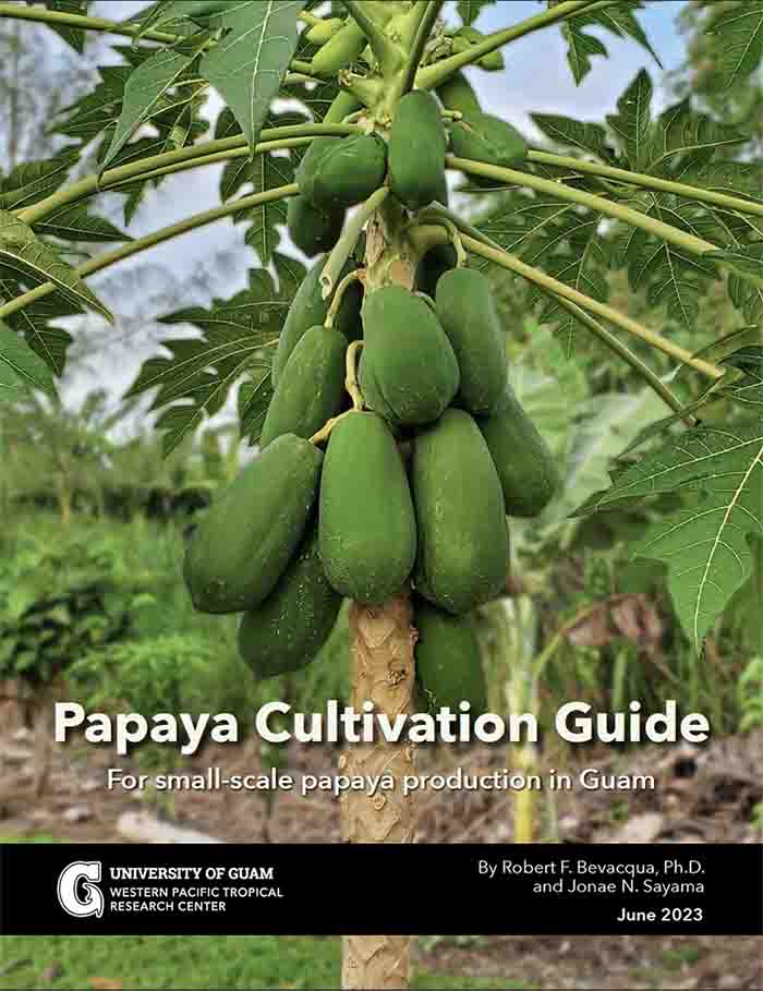 Click here to view a small-scale papaya production guide