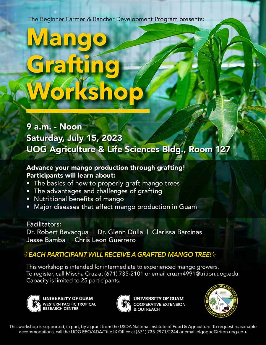 Mango Grafting Workshop flyer