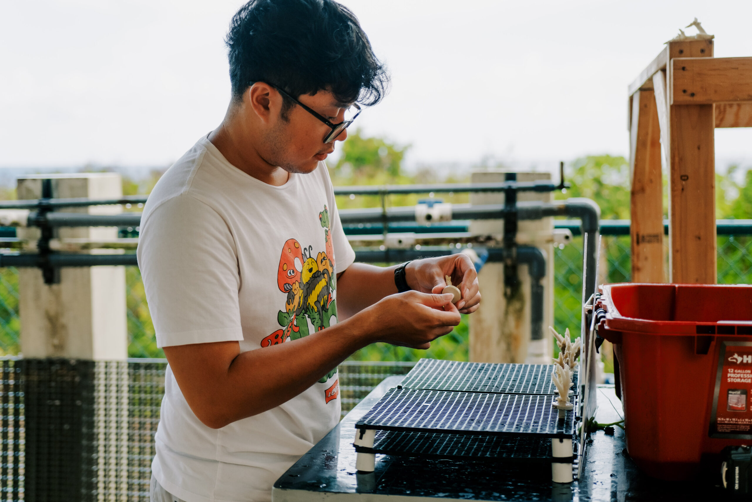 Research Assistant Nikko Galanto