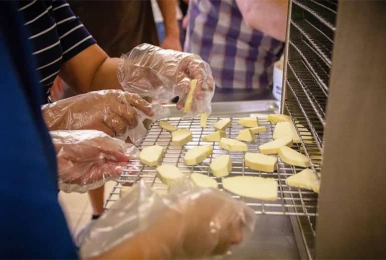 gloved hands hold and prepare small raw bredfruit pieces
