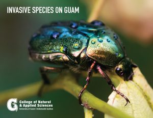 Invasive Species on Guam